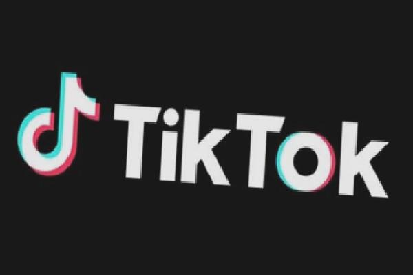 Avusturya’dan TikTok kararı