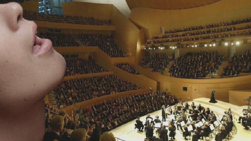 Los Angeles Filarmoni Orkestrası’nın konserinde bir kadın “orgazm çığlığı” attı