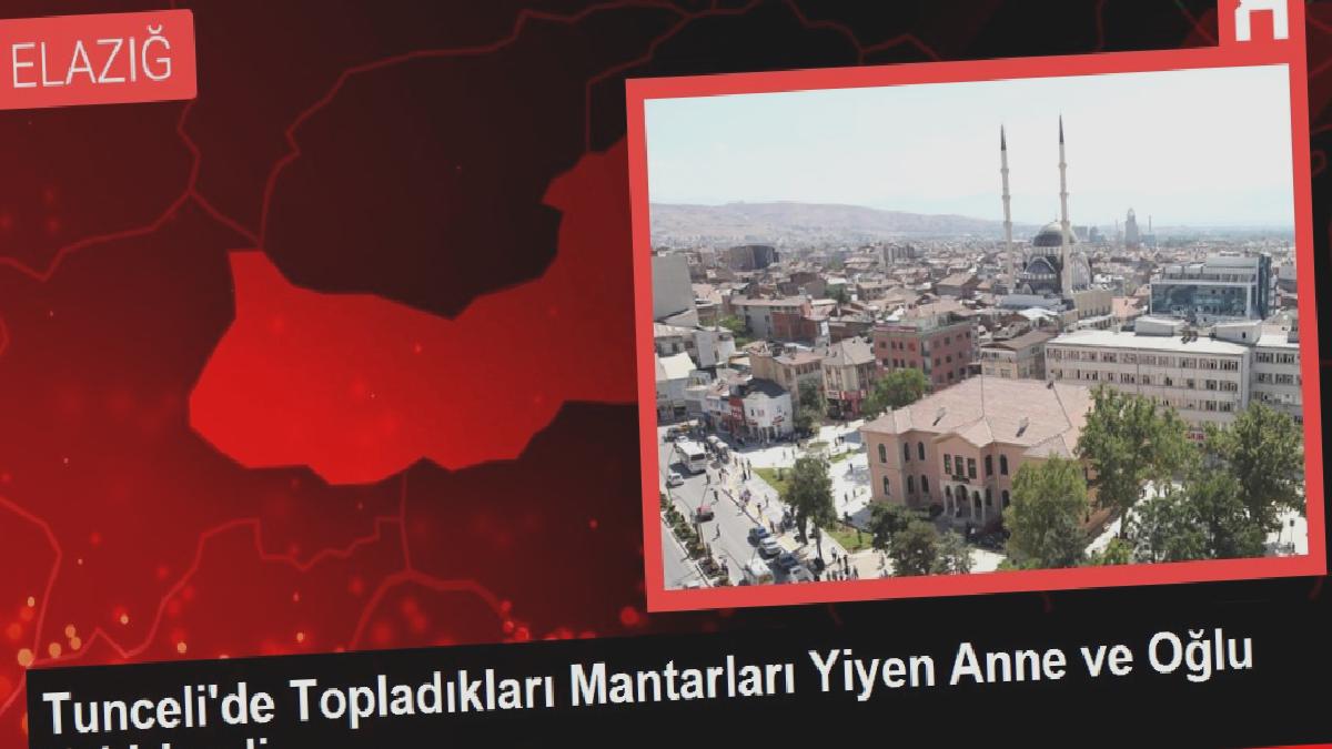 Tunceli’de Topladıkları Mantarları Yiyen Anne ve Oğlu Zehirlendi