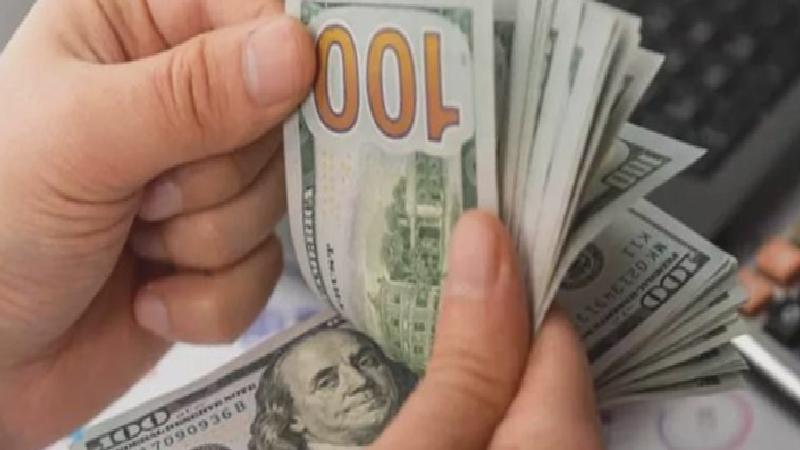 Döviz mevduatları geçen hafta 1,8 milyar dolar azaldı