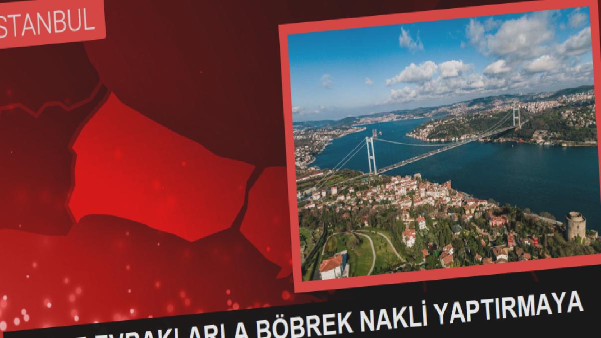 İstanbul’da Sahte Belge Düzenleyerek Böbrek Nakli Yapmaya Çalışan 3 Kişi Yakalandı