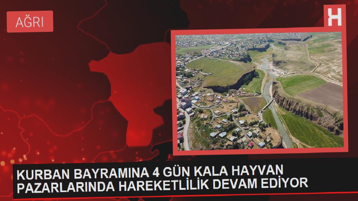 Kurbanlık satışları hız kazandı