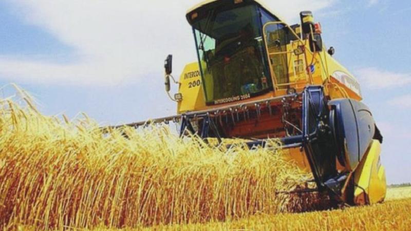 Tarımda üretici enflasyonu temmuzda yüzde 62,5’e yükseldi