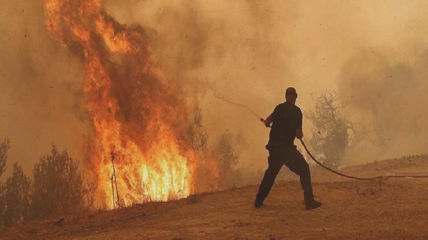 Yunanistan’daki yangın, sanayi bölgesindeki fabrika ve depolara kadar ulaştı