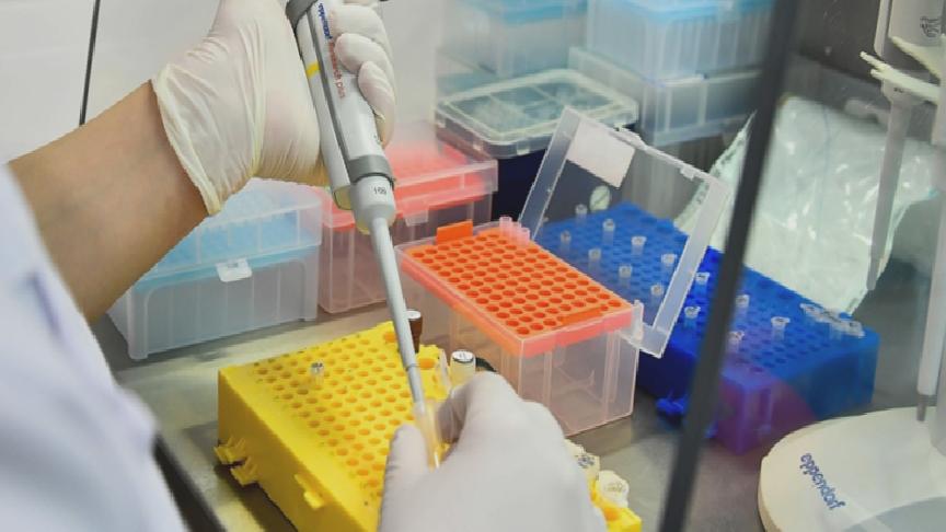 Bakan Koca: 1,8 milyon kişi evlilik öncesi SMA taramasından geçti