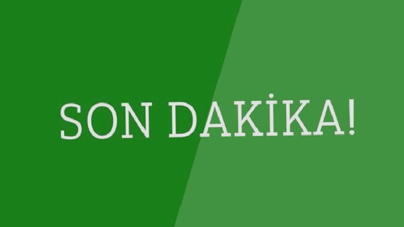 Filenin Sultanları olimpiyat yolunda 4’te 4 yaptı