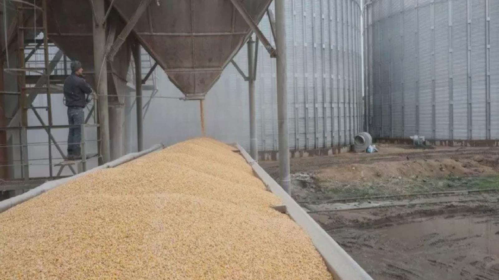 Tahıl koridoru rafa mı kalktı, hangi alternatifler gündemde?