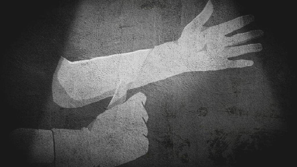 Yeşil Sol Parti’den, cezaevlerinde çıplak aramanın son bulması için kanun teklifi