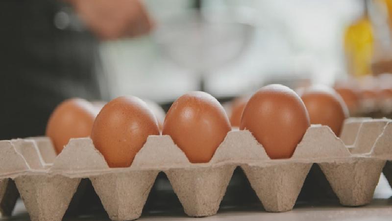 Yumurtanın fiyatı bir yılda ikiye katlandı