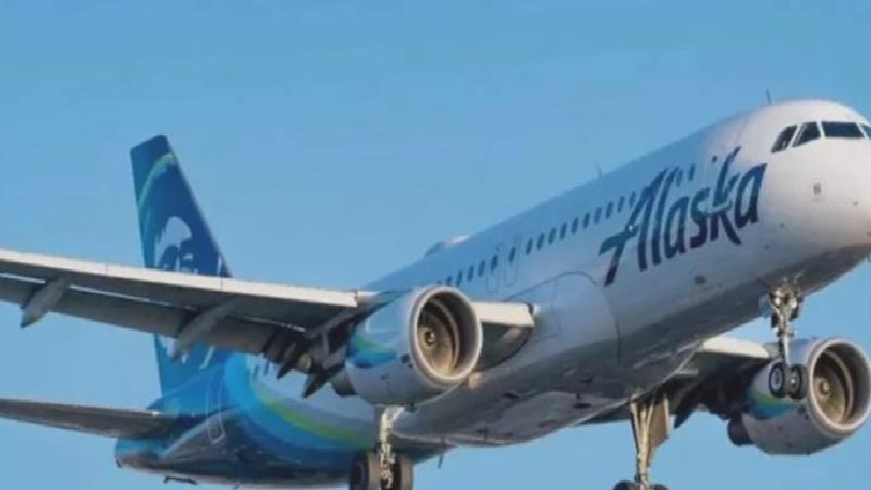 ABD’de uçak düşürmeye çalışmakla suçlanan pilot “halüsinojen mantar kullandığını” iddia etti