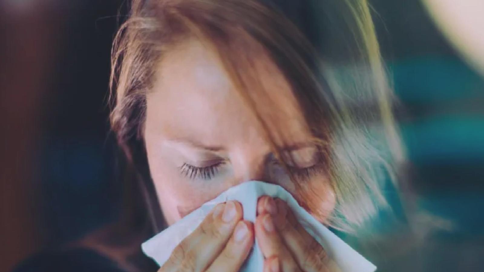 İngiltere’de yeni bir domuz gribi varyantının insandaki ilk vakası tespit edildi