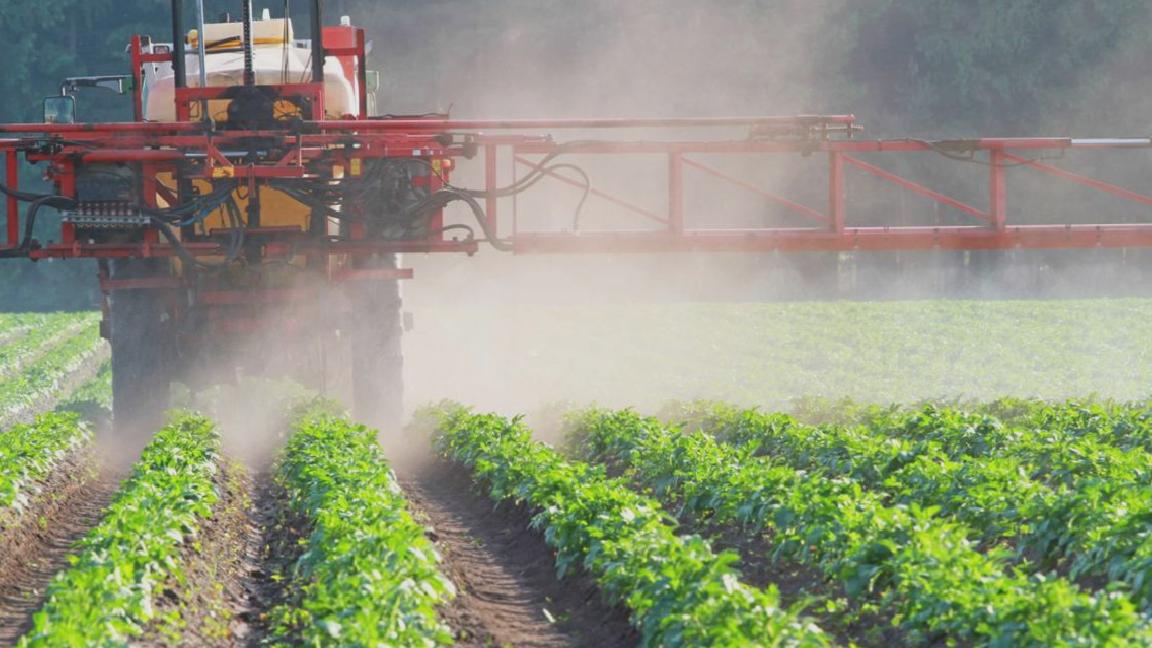 Pestisit kullanımı giderek artıyor; uzmanlardan “kullanımı azaltmaya yönelik kamusal politika uygulanmalı” uyarısı