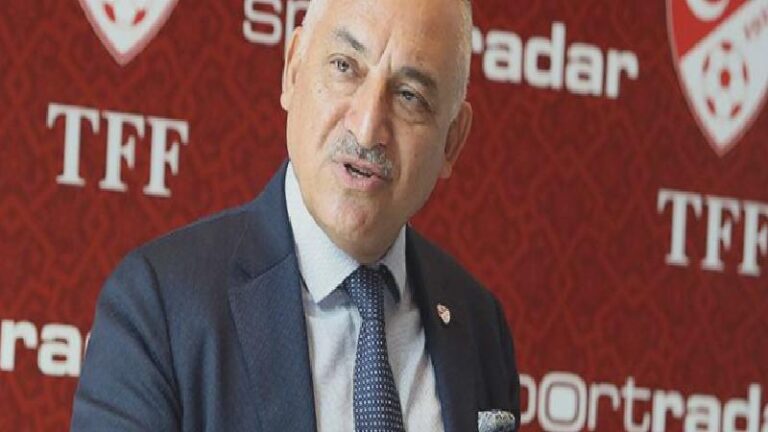 Mehmet Büyükekşi’den Euro 2024 açıklaması: Son noktaya kadar ilerlemek hedefimiz