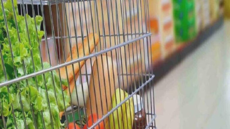 Alışveriş sepeti hızla pahalanıyor: Bir yılda en az yüzde 92.75 zam!