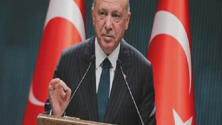 Hukukçu Figen Çalıkuşu, Anayasa’daki bir maddeye gelen düzenlemeye dikkat çekti: Tereddüdünü bildir, Cumhurbaşkanlığı gidersin, Yargıya ne gerek var?