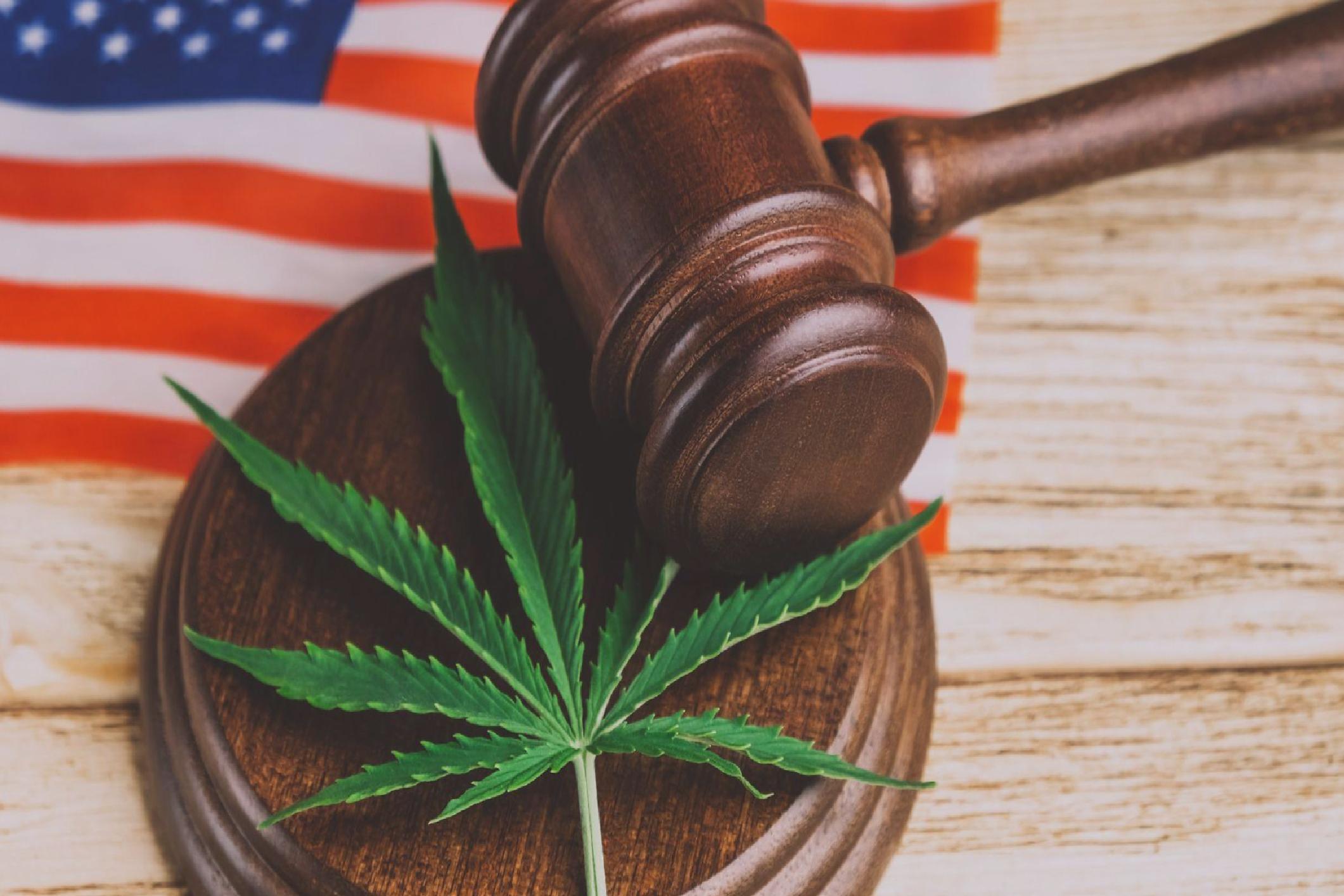 ABD’de esrar kısıtlamalarının gevşetilmesi için son 50 yılın en büyük adımı