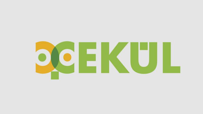 ÇEKÜL Vakfı’ndan çağrı: Sokak hayvanlarının sağlıklı barınaklarda yaşam hakları savunulmalı