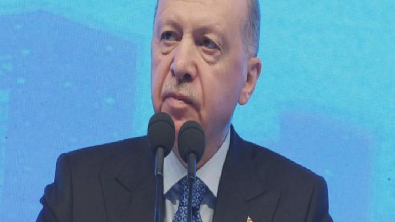 Erdoğan Danıştay’da konuştu: Yargının yasama ve yürütmeye müdahalesi yanlış