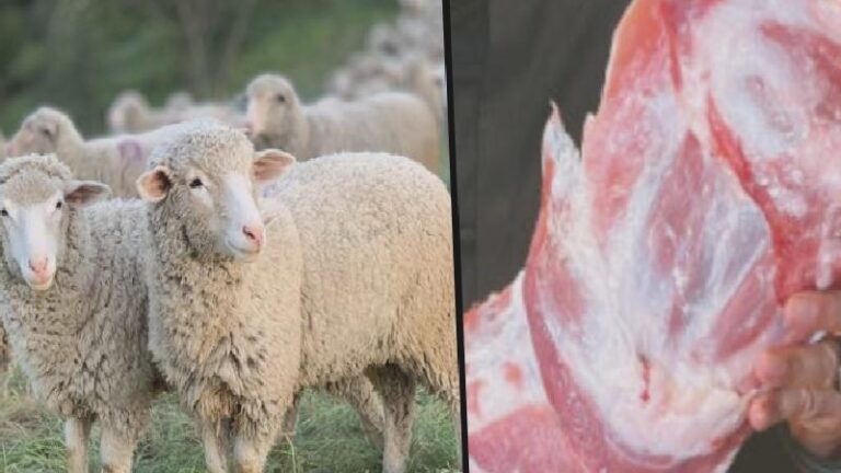 4 yıl öncenin kurbanı, şu anda but oldu!