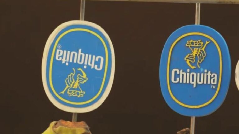 Chiquita muz şirketi Kolombiya’daki paramiliterlere maddi yardımda bulunmaktan suçlu bulundu