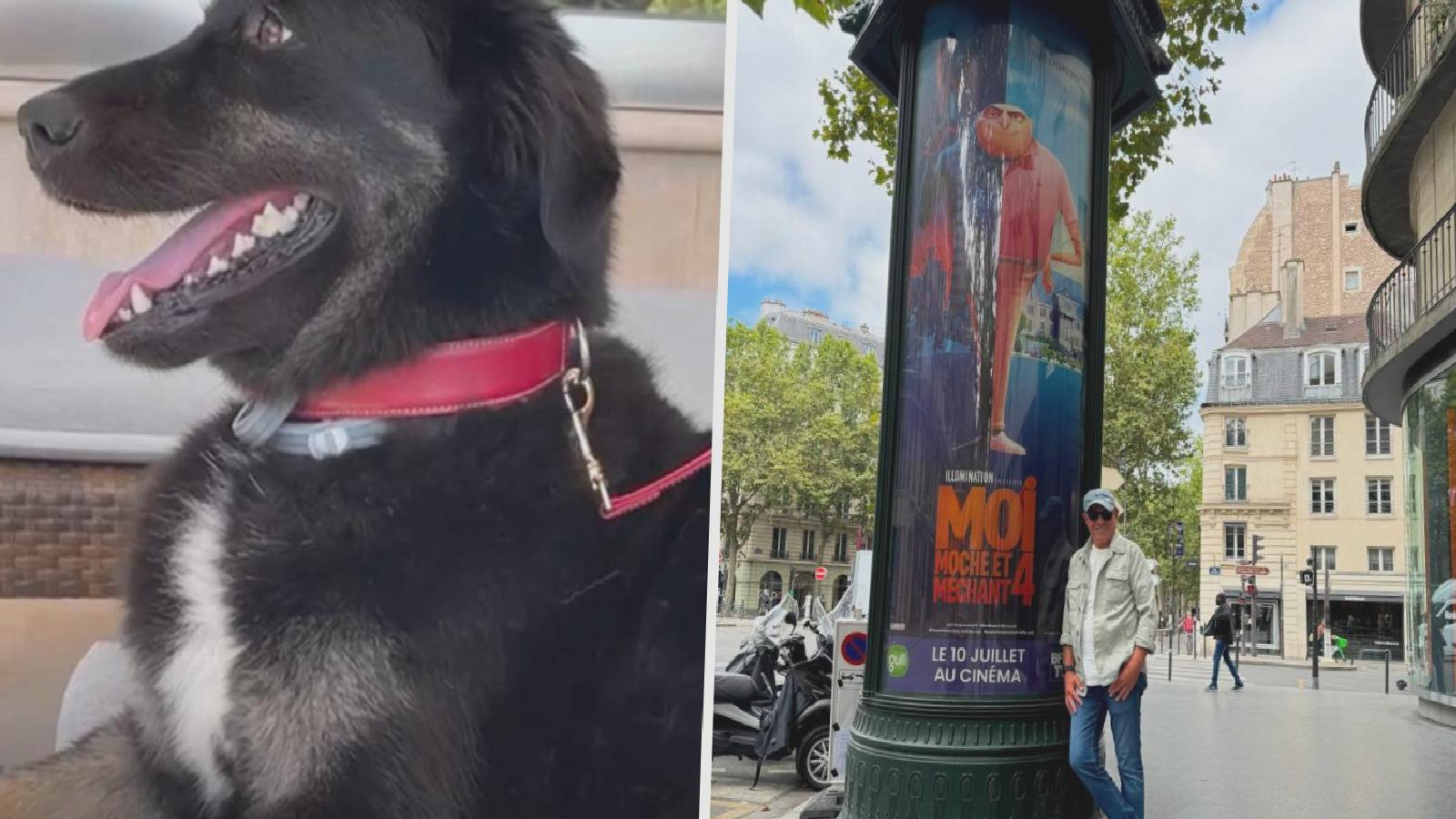 Ertuğrul Özkök: CHP’li belediyelere hayvan öldürecek kayyımlar mı tayin edeceksiniz?