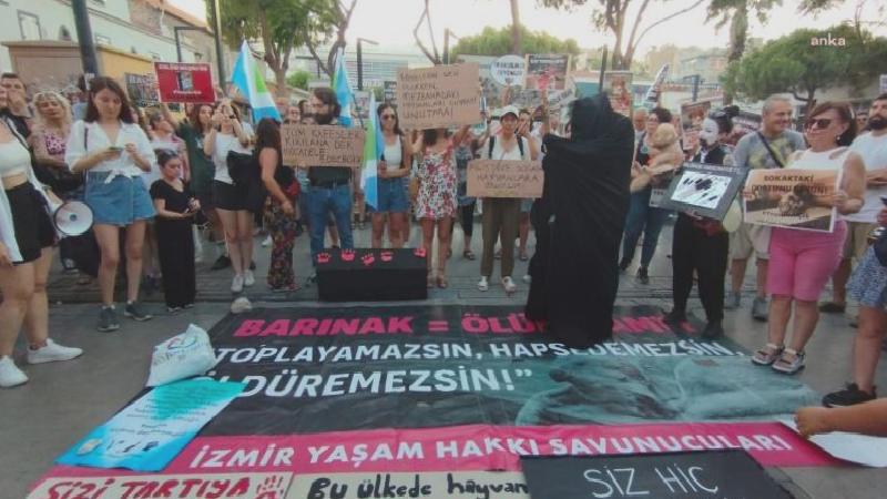 Hayvan hakları savunucularından “ötanazi” protestosu: Mecliste onaylansa da uygulanmasına izin vermeyeceğiz