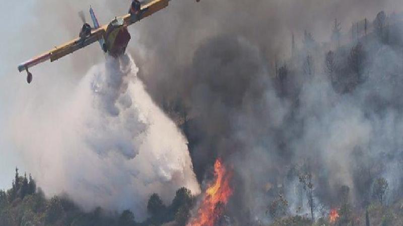 CHP’li Demir’den Bakan Yumaklı’ya: 2010-2024 yılları arasında yanan alanların yüzde kaçı orman vasfını kaybetmiş ve yapılaşmaya açılmıştır?