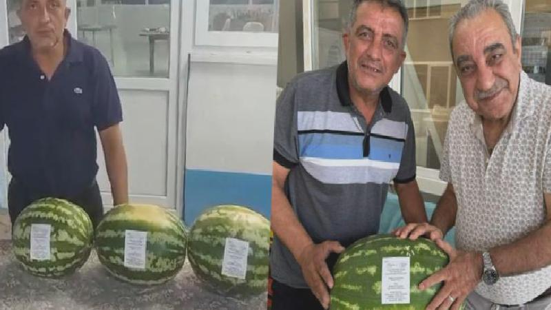 Denizli’de para etmeyen karpuz, düğün davetiyesi oldu; tam 6 ton dağıttı