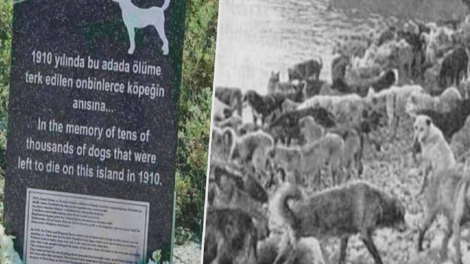 Ertuğrul Özkök: Ey o kanuna oy veren AKP’liler, bu mazlum köpekler anıtının üzerinde yazanı iyi okuyun