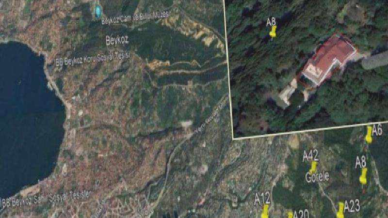 İstanbul’un oksijen deposu, Cumhurbaşkanı kararı ile orman dışına çıkarıldı: Villalara alan mı açılıyor?