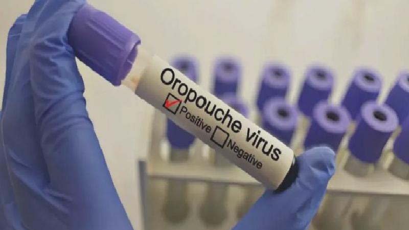 Oropouche virüsü nedir ve nasıl tedavi edilir?