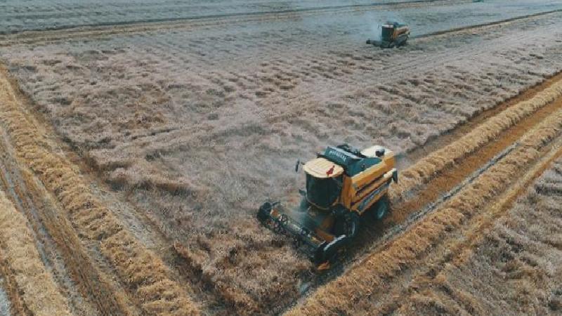 Turhan Çömez: Bakanlık tarım mezarları açtırdı, tonlarca buğday toprağa gömüldü