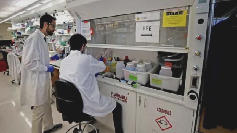 Kuş gribi: ABD hayvanlarla teması olmayan bir insanda görülen ilk vakayı doğruladı