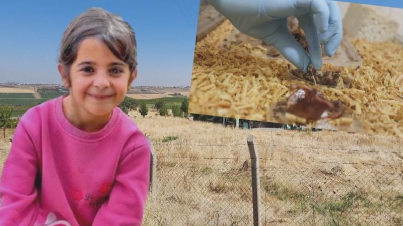 Narin Güran cinayetinde “izmarit” detayı
