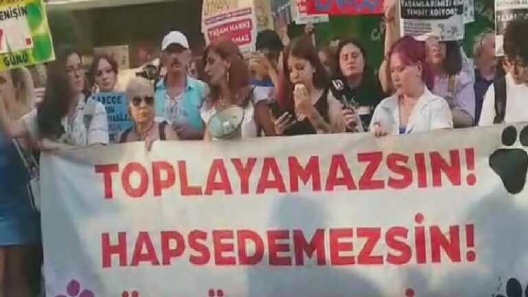 “Katliam Yasası” ile yönetmelik arasında belediyeler zor durumda