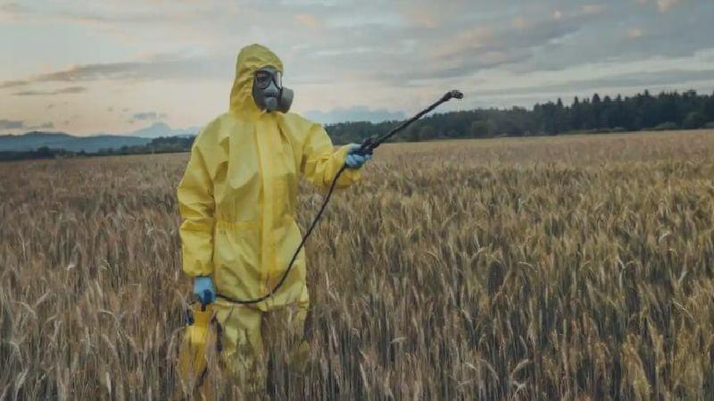 Gıda ürünlerinde pestisit alarmı; “En çok yeşil biber, kapya biber, maydanoz, marulda var”