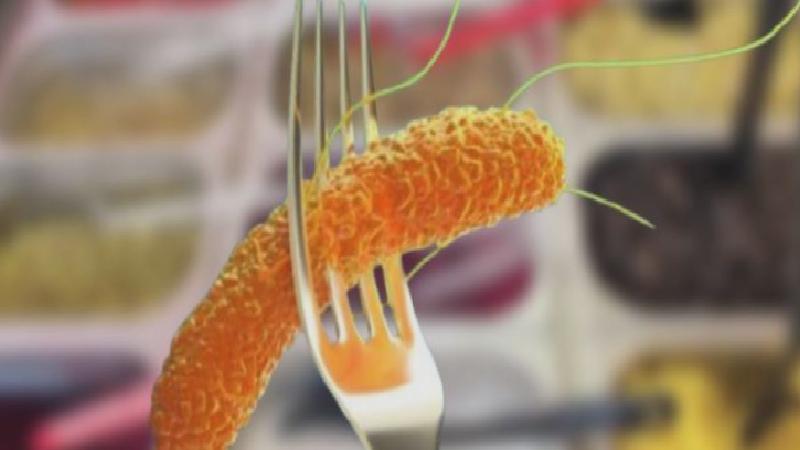 İzmir’de kumpirle gelen ölüm korkuttu; Salmonella riskine dikkat!