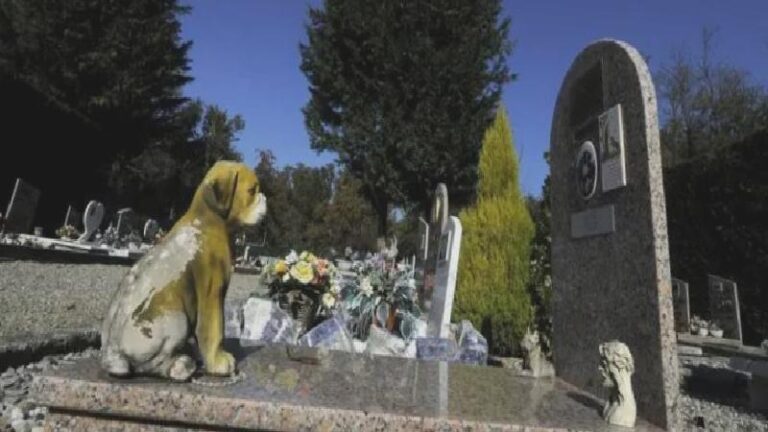 Milano’da evcil hayvanlar sahiplerinin mezarına gömülebilecek: ‘Yakın bir aile üyesi gibiler’
