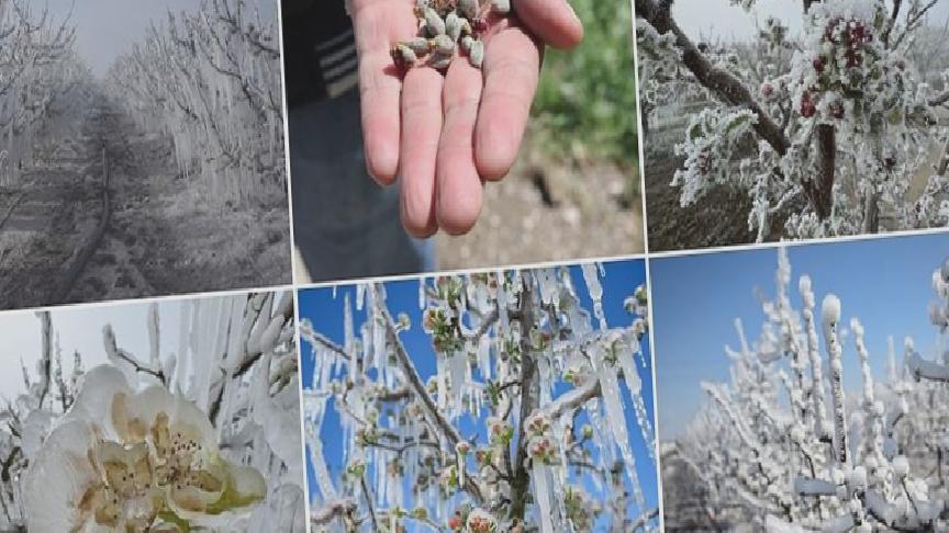 CHP’li Gürer: Don felaketinin etkisi Ağustos’ta yurttaşın cebine yansıyacak