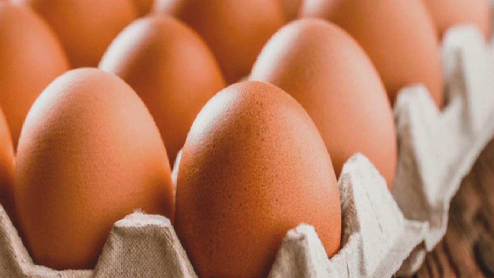 Üreticilerden açıklama: Yumurtaya zam gelir mi?