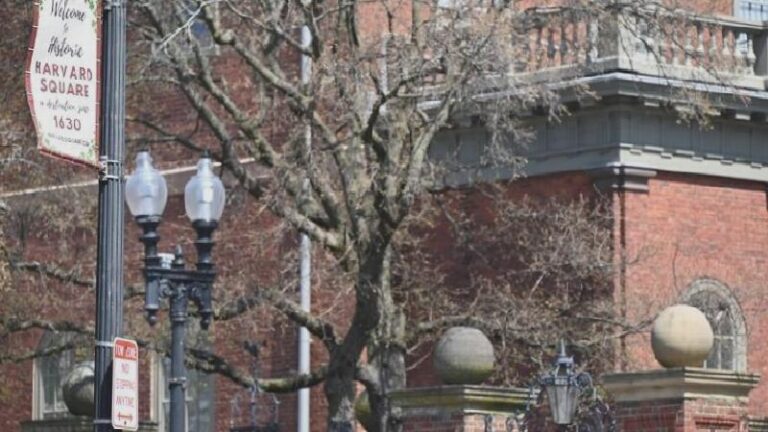 ABD Eğitim Bakanlığı: Harvard’a yeni federal fon verilmeyecek
