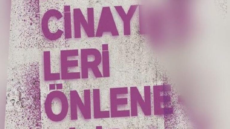 Emine Ülkü Araz davası: Üç sığınma evi değiştirdi, kocası hakkında defalarca işlem yapıldı, yine de korunamadı