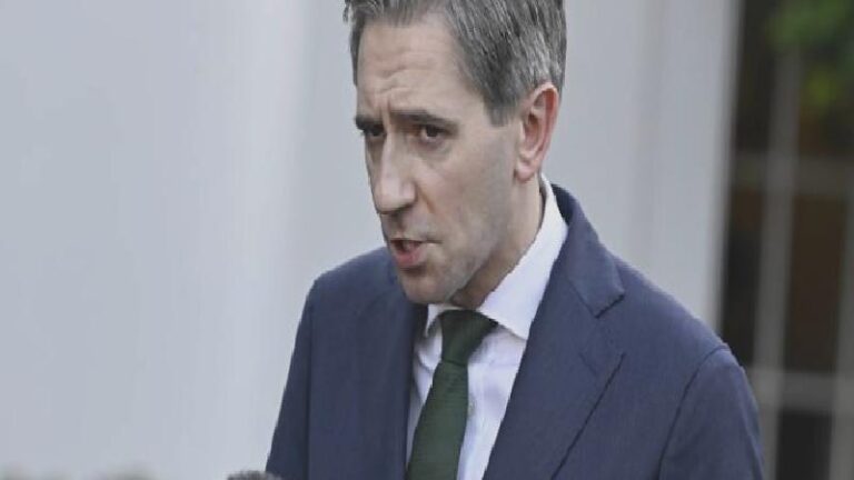 İrlanda Başbakan Yardımcısı Harris: Gazze’de mevcut acının devam etmesi vicdansızlıktır