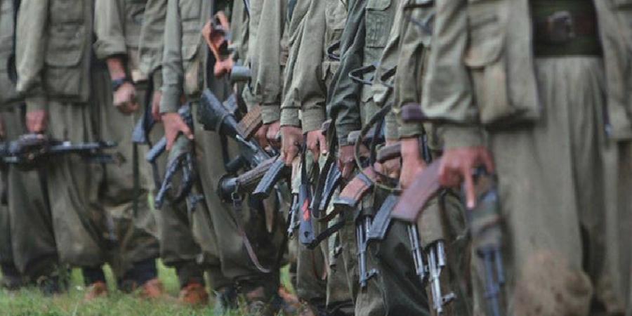 Saygı Öztürk: Silahların bırakılmasıyla yaklaşık 15 bin civarında PKK’lı da işsizler arasına katılacak