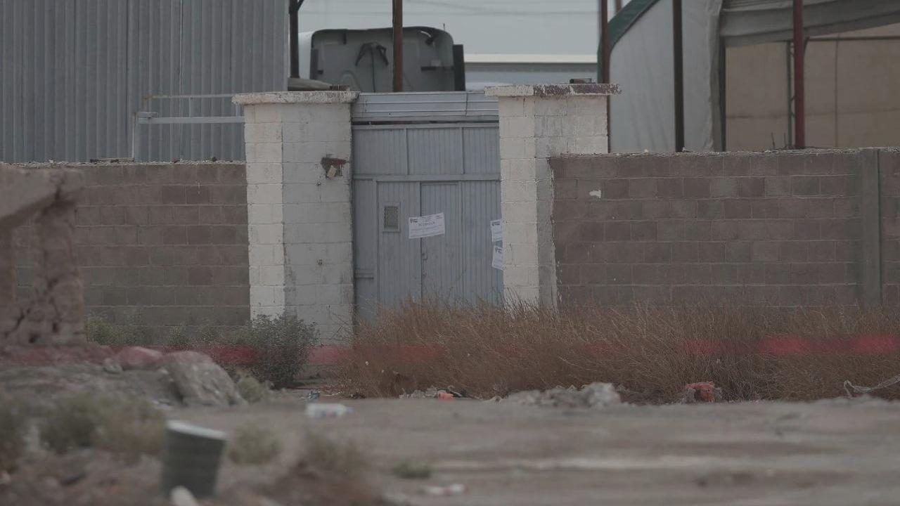 Meksika’nın kuzeyinde mumyalanmış 60 ceset bulundu