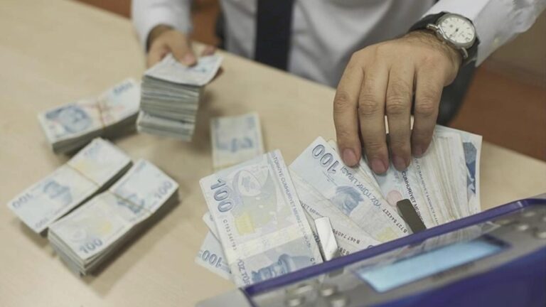 Türkiye Gazetesi yazarı Karakaş: Ücreti bankadan ödemeyen patrona çifte ceza kesilecek!