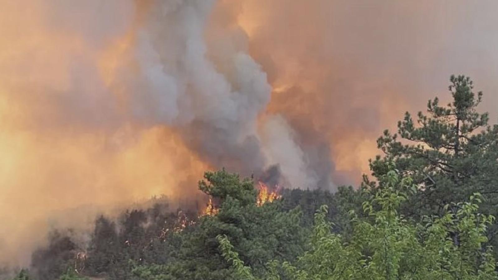 Kavurucu sıcaklar geliyor: Bakan Yumaklı’dan ‘orman yangını’ uyarısı!