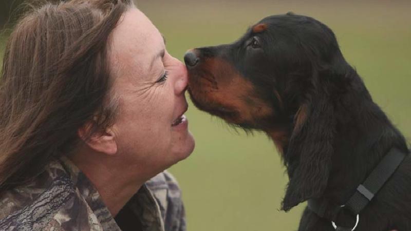 New York’ta emsal karar: Köpekler artık yasal olarak aile üyesi kabul edilecek