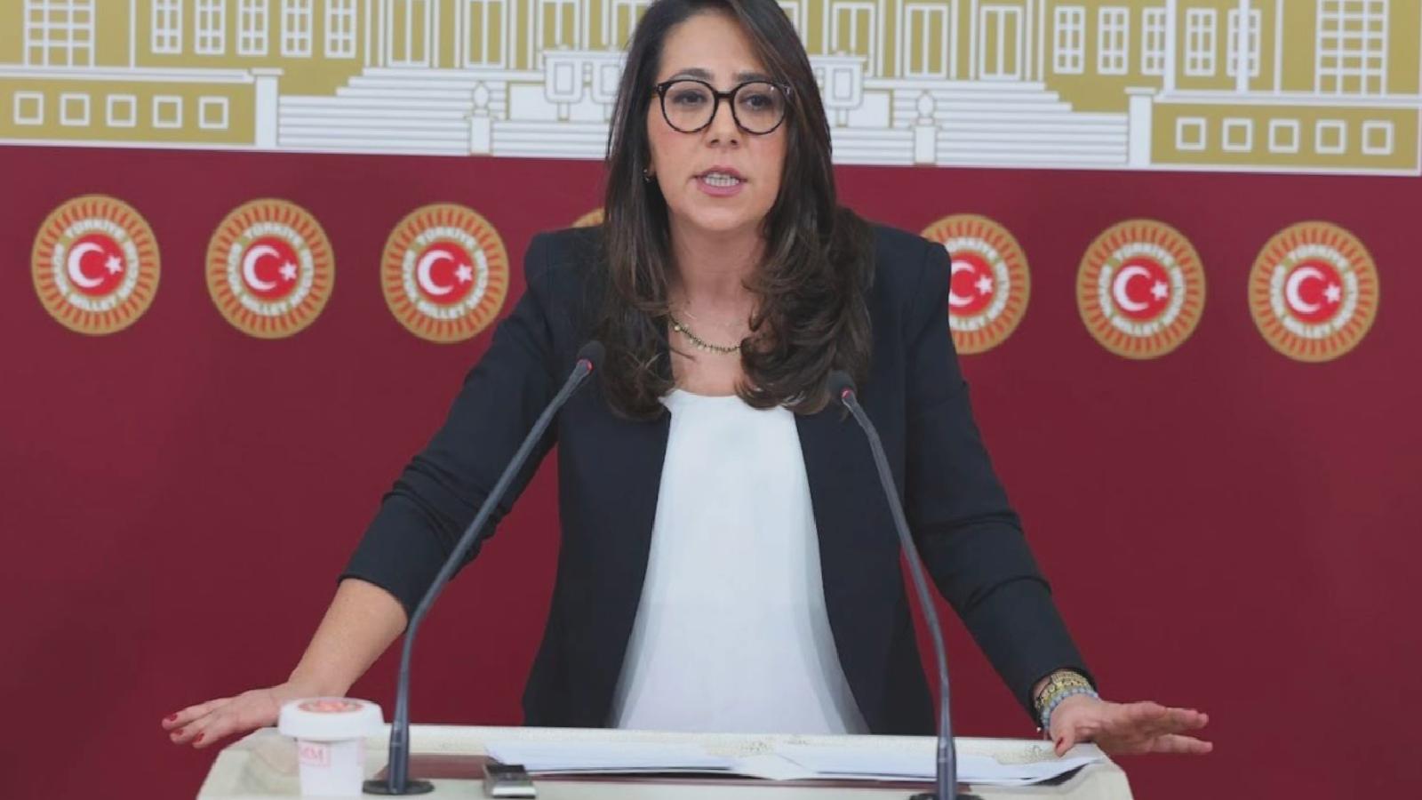 TİP’li Kadıgil’den “maden yasası” tepkisi: Bu ülkede maden şirketlerinin devleti var ama halkın bir devleti yok