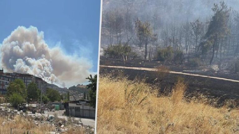 Manisa Soma’da çıkan orman yangınına müdahale sürüyor: Kozanlı Mahallesi tahliye edildi, 1 kişi gözaltında